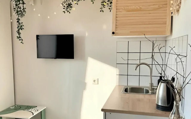 Апартаменты в центре Казани возле озера Кабан 1