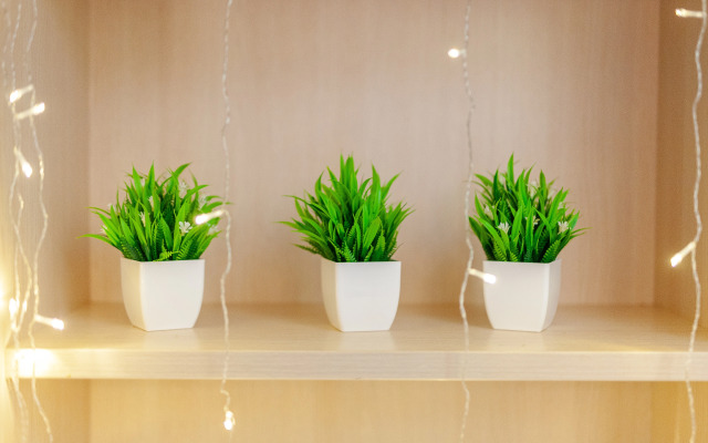 Апартаменты двухкомнатные в центре