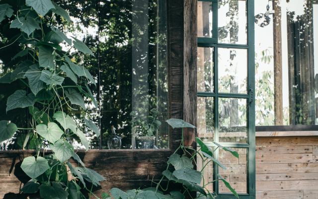 Wine Space Glamping
