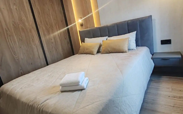 Квартира Шикарная в центральной части Владивостока