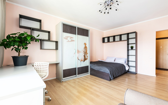 V centre goroda Kazan Flat