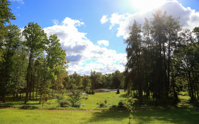 Гостевой Дом Дворец Елизаветино