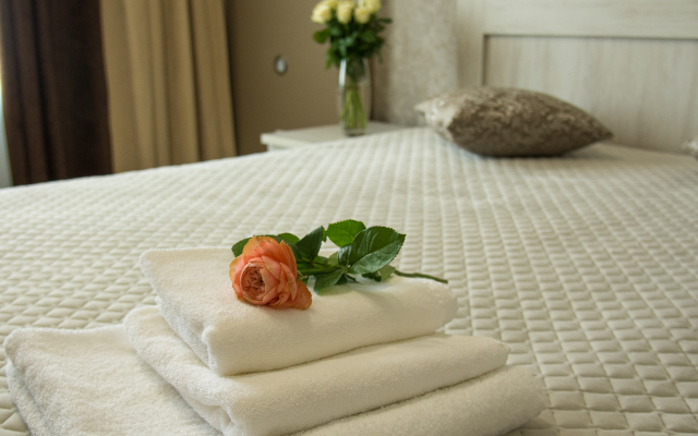 Domus Hotel