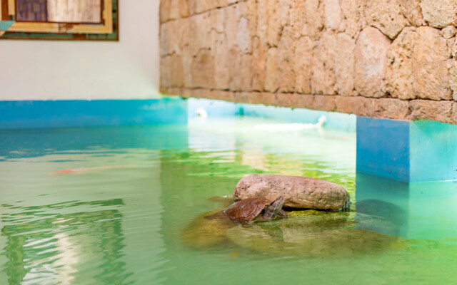 Fantastic at Casa de Campo Villa