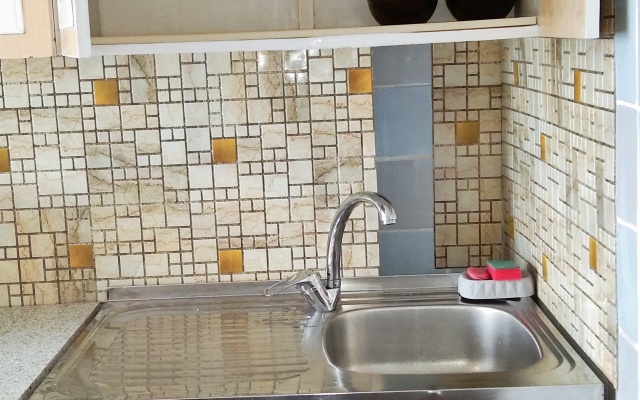 Kryshi Parizha Flat