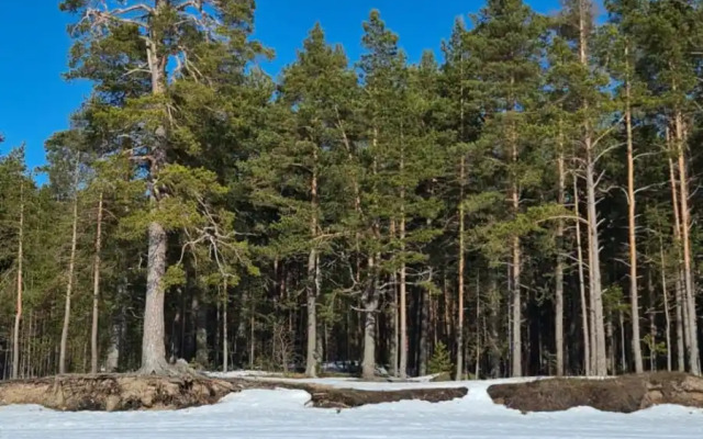 Гостевой дом с сауной вблизи реки и озера Ладоги Лисий берег