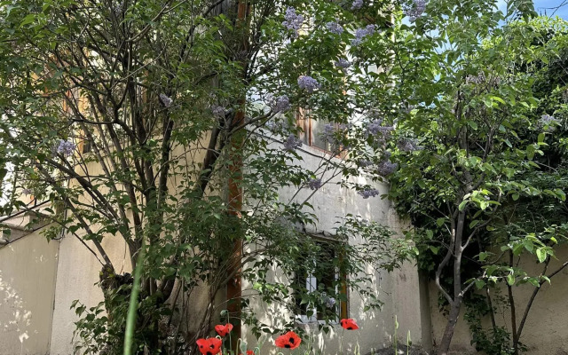 Popock City Center Guest house