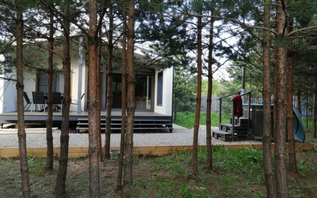 Частный дом в Сосновом Лесу