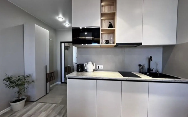 Апартаменты Панорамная в Центре