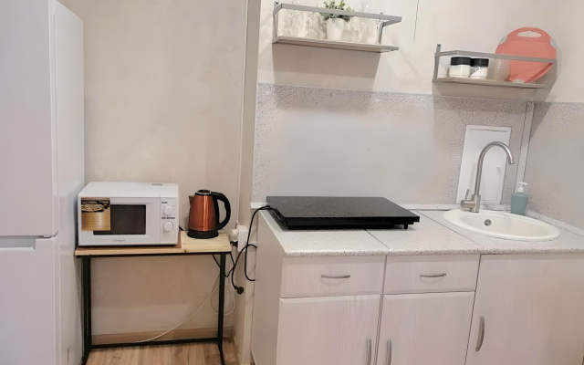 Na Vladislava Posadskogo 24 Aparments