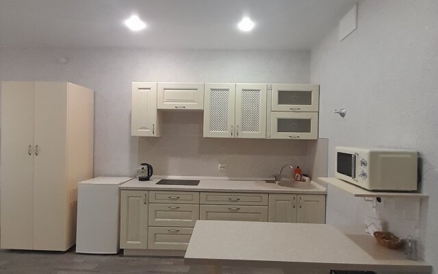 Апартаменты Студия Переулок Светлогорский