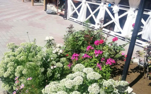 Отель Ласточка 117