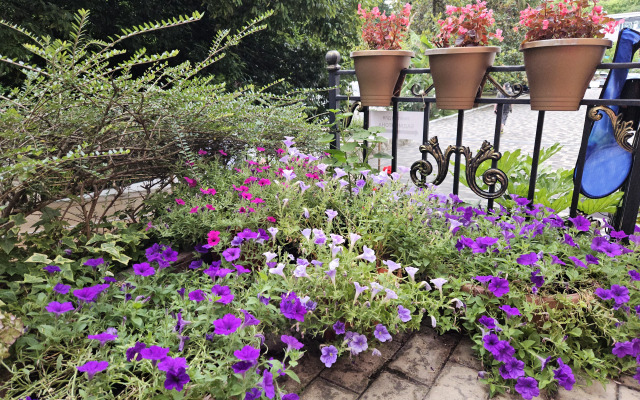 S 1 Spalney Apartment