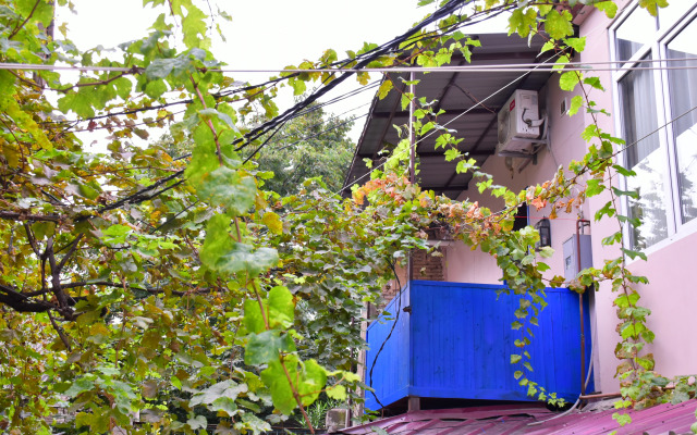 Dom Bibliotekarya s Balkonom Flat