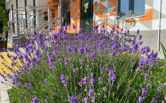 Kapri Khaus Kudepsta Flat