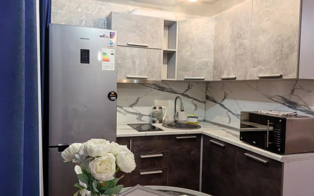 Studiya V Tsentre Apartments