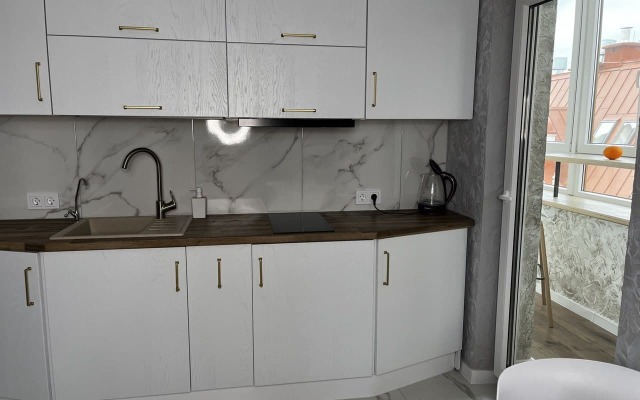 U Zamkovogo Pruda 1 Apartments