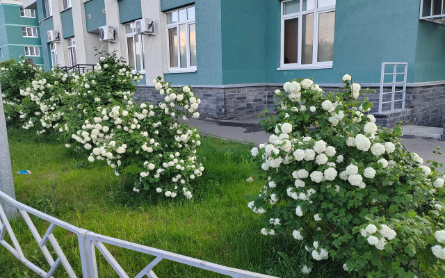 Апартаменты с Видом на Реку