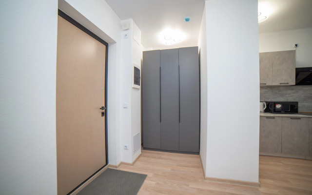 Апартаменты Гагарина 9 Серая