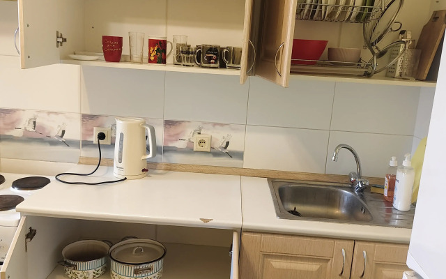 Апартаменты от Людмилы (Революции 1905 года)