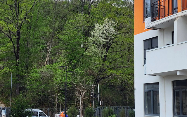 Studiya S Balkonom Apartments