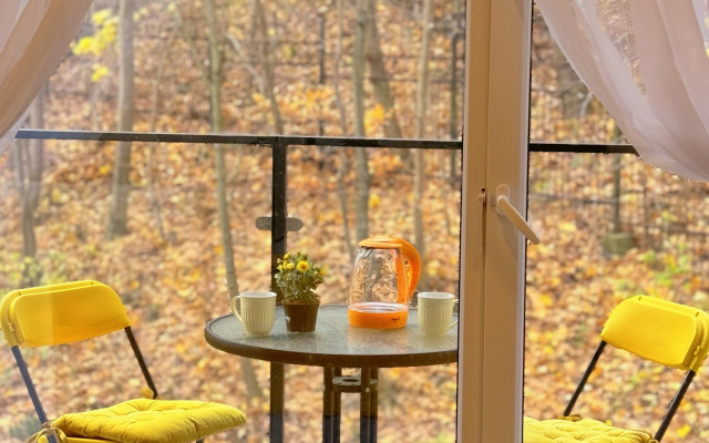 Апартаменты Yellow Amber Svetlogorsk