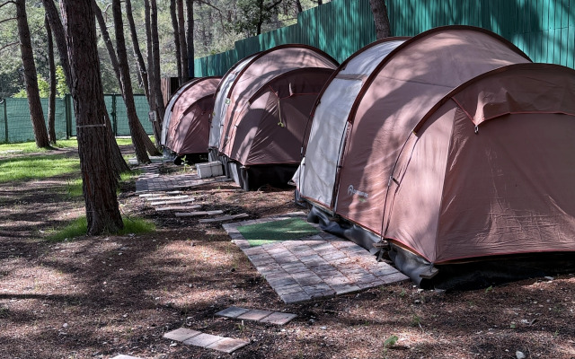 Кемпинг Под Соснами