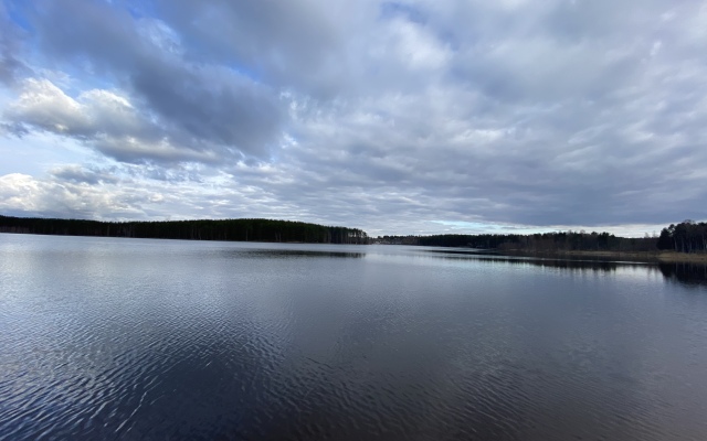 Гостевой дом Верба