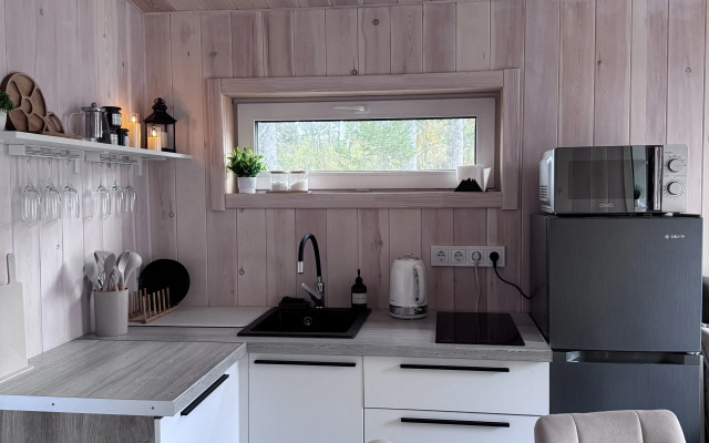 Частный дом Гостевой дом Ice_gesh