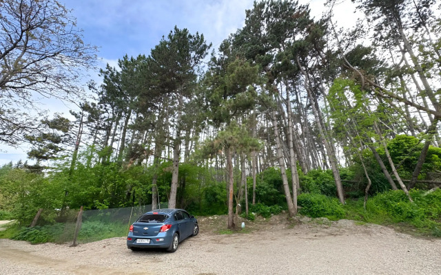 Частный дом Комфортный, современный до 8 чел