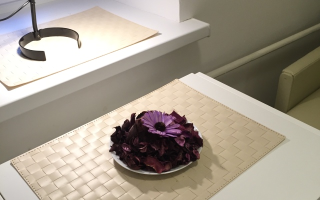 Mikro Studiya Na 12-J Linii Vo Apartments