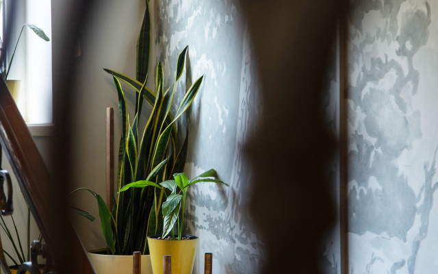 People Guest House