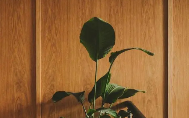 Hotel Bellhop Tbilisi