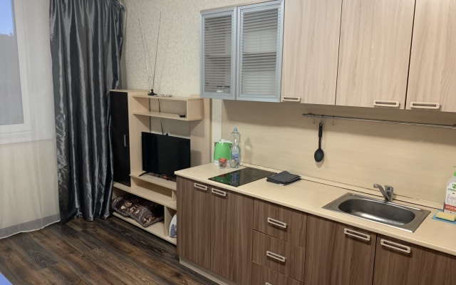 Апартаменты Studio Narvskaya