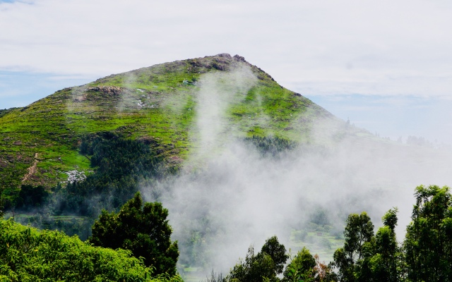 La Niebla Farm Resort