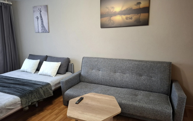 Квартира в Центре