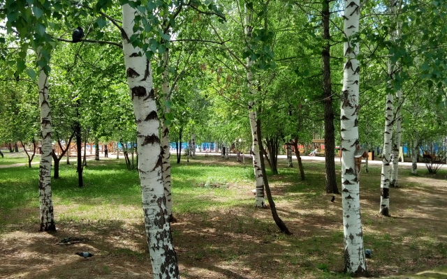 Gal'yanochka Apartments