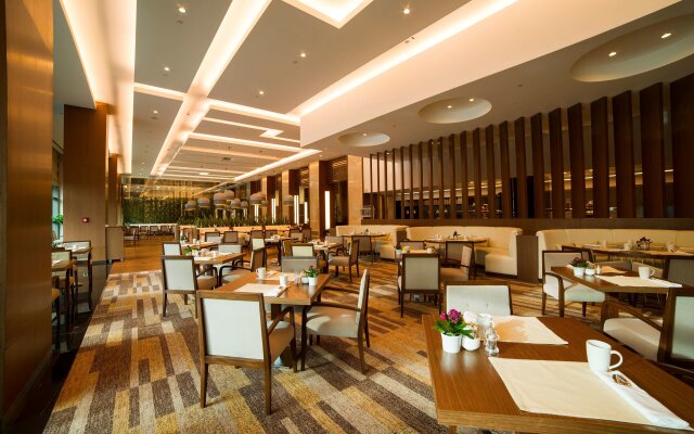 Radisson Blu Hotel, Kayseri Hotel
