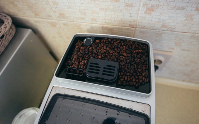 Частный дом в центре города с зеленым садом