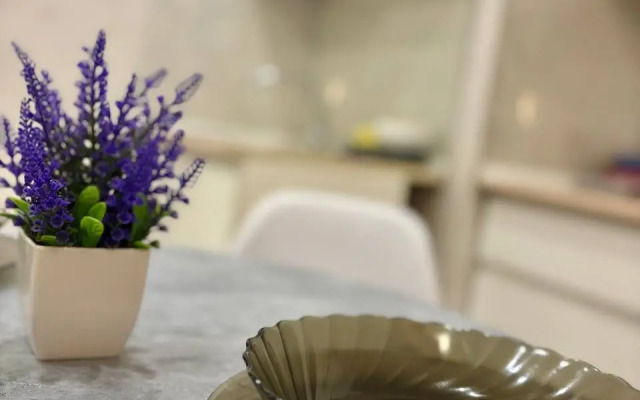 Uyutnaya Studiya V Tsentralnom Rayone Goroda Flat