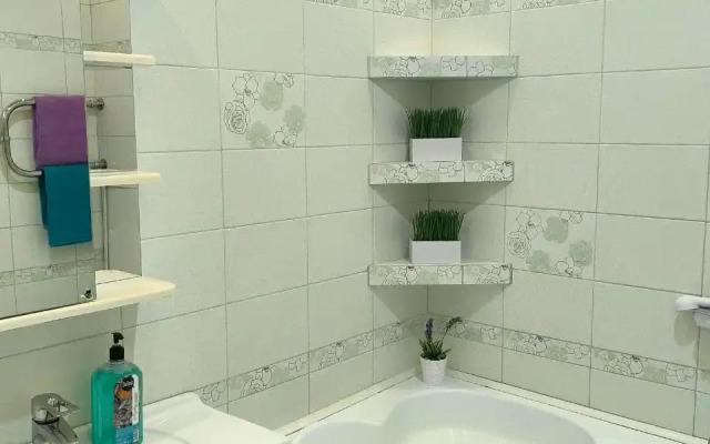 Квартира Однокомнатная на Землячки (14)