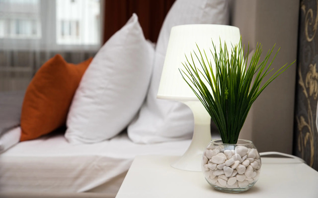 Krasavitsa V Tsentre U Zhd Vokzala Flat