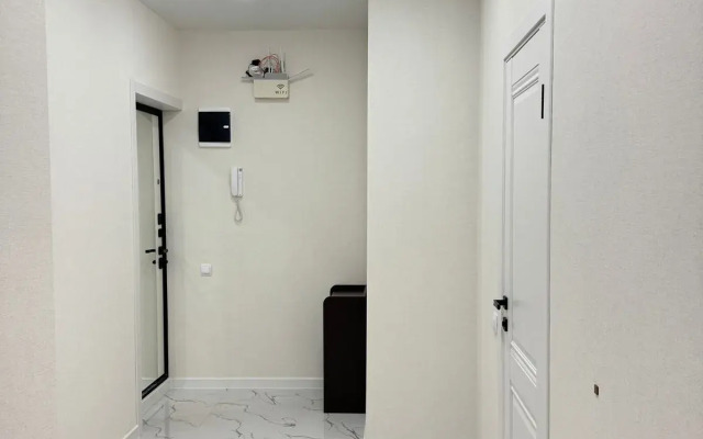 Dvukhkomnatnaya v tsentre Flat