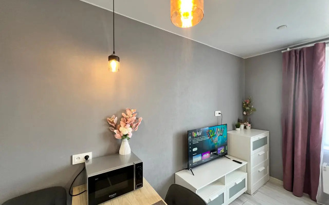 Апартаменты Студия на Инициативной