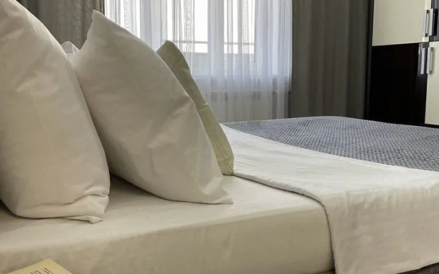 Квартира на Чкалова 65 (2/11)