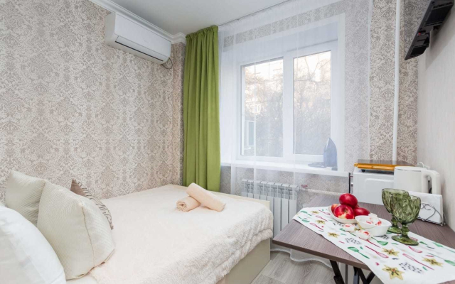 Milaya Studiya V Tsentre Apartments