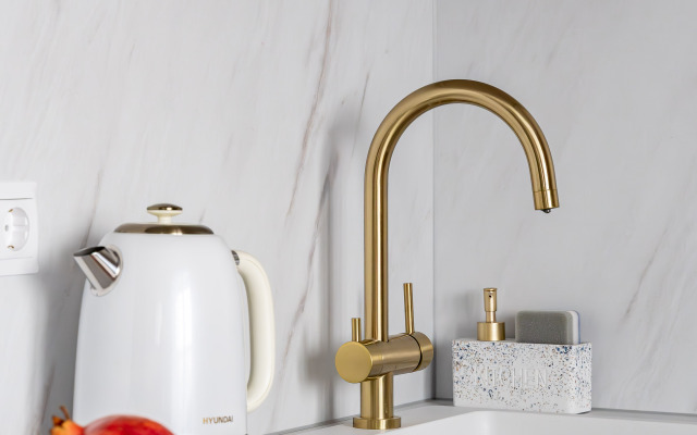 Leruka Home Elyzium Flat