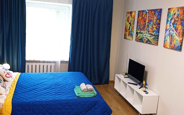 Tsentr U Ploschadi Pobedy Apartments