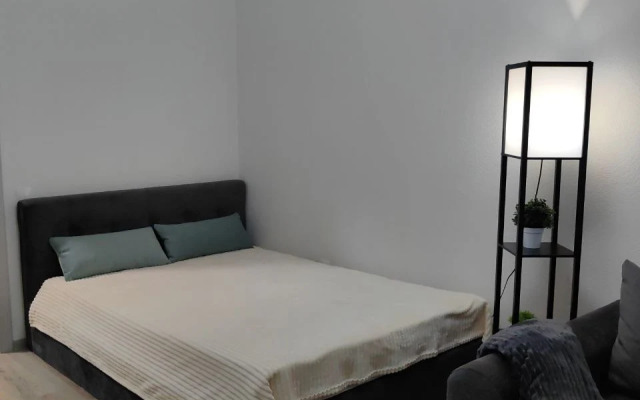 Квартира Неотель видовая рядом с ВГТУ, Цирком, Воронеж-сити