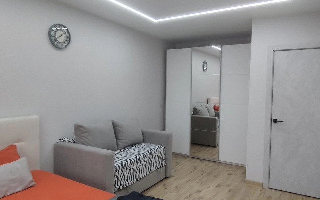 Апартаменты Наговицына 6